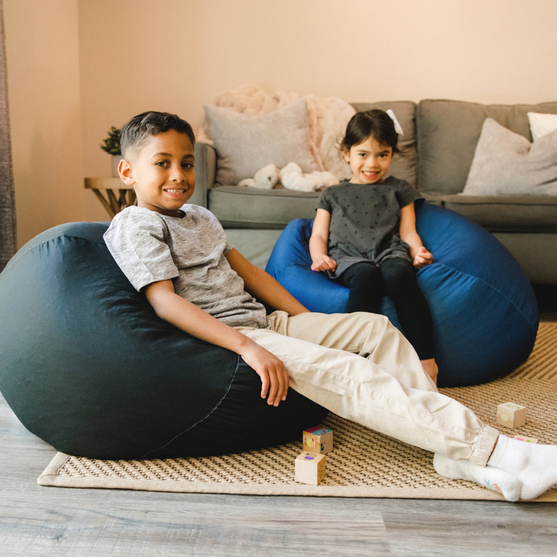 Comfort Research Big Joe Classic Bean Bag Chair & Reviews Wayfair